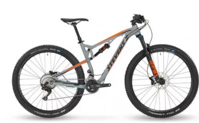 Mountain bike Suiza