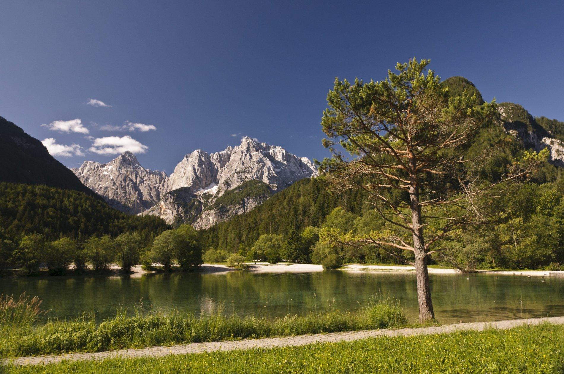Parques Naturales de Eslovenia en Mountain Bike - MTB - 6
