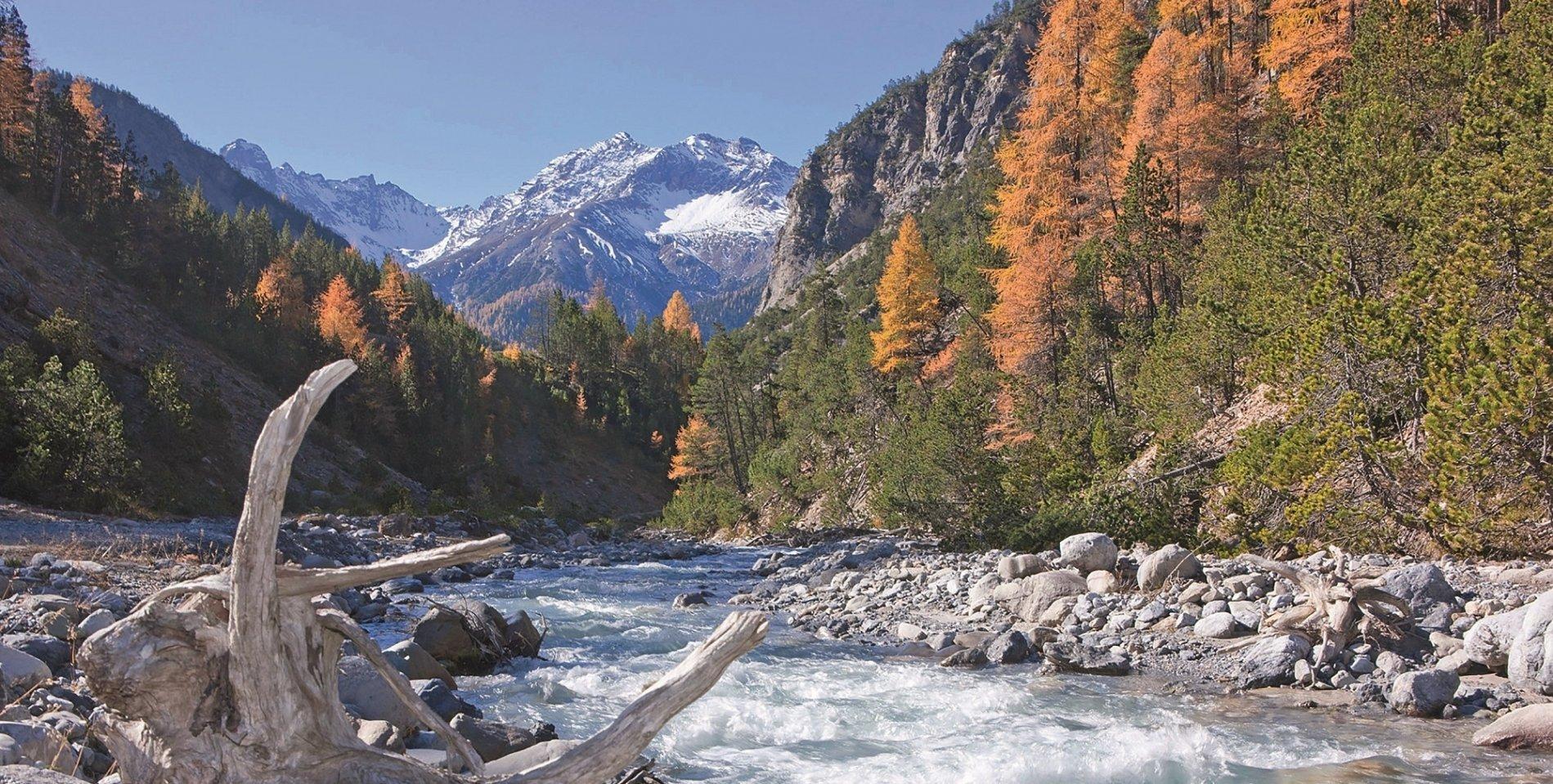 Alpes Suizos en MTB - 3