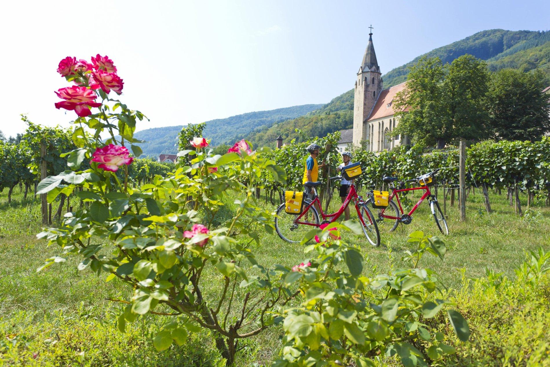 El Danubio Austríaco en bicicleta: rutas de Passau a Viena - 2