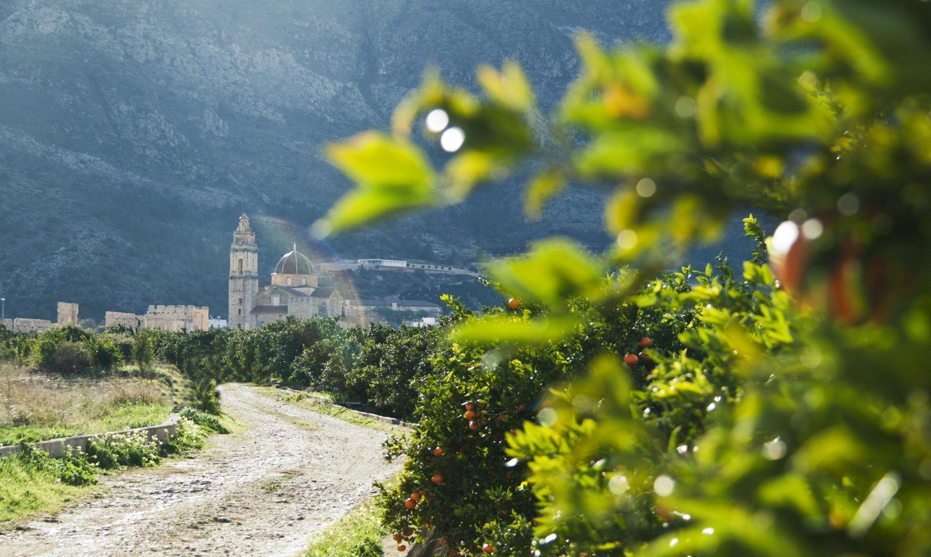 The best of Valencian region - 4