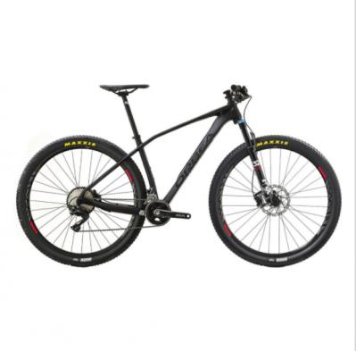 Bicicleta de montaña (MTB)