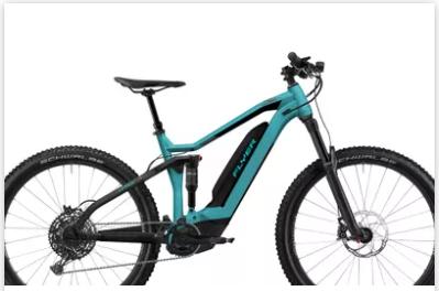E-MTB Suiza