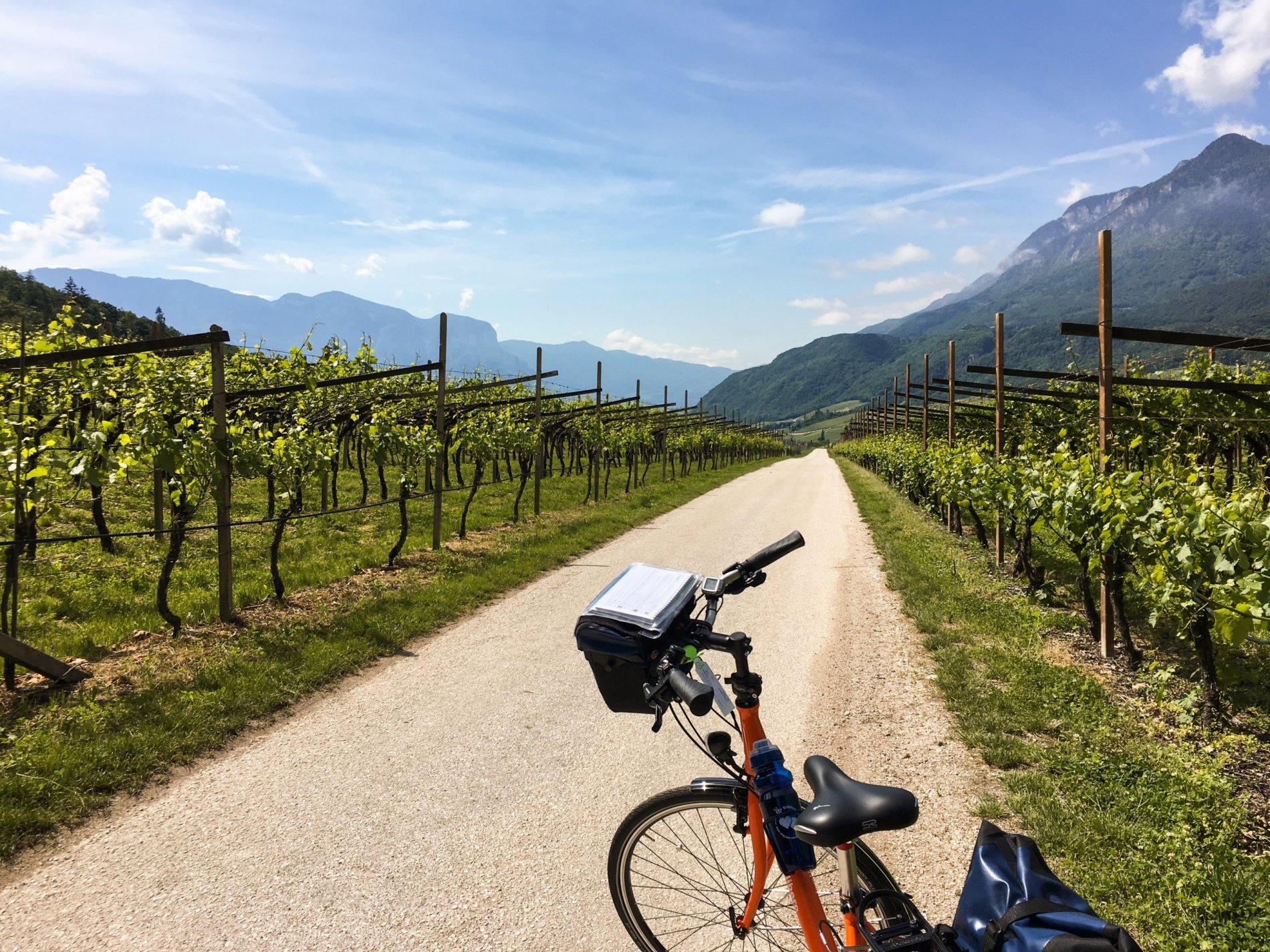 Bolzano - Lago Garda – Venecia | Cicloturismo por lo mejor de Veneto (Italia) - 8